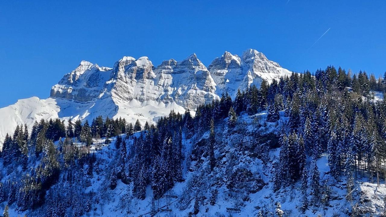Alpage Immo Location Service Champoussin Esterno foto