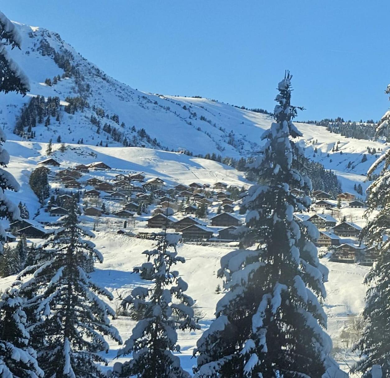 Alpage Immo Location Service Champoussin Esterno foto