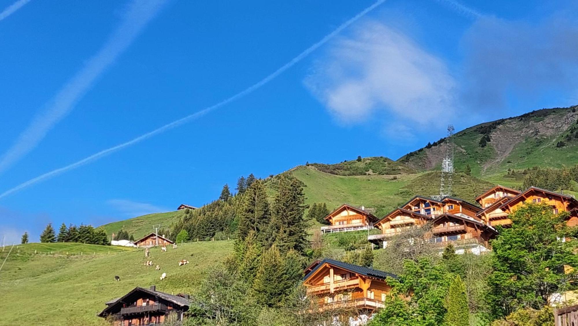 Alpage Immo Location Service Champoussin Esterno foto
