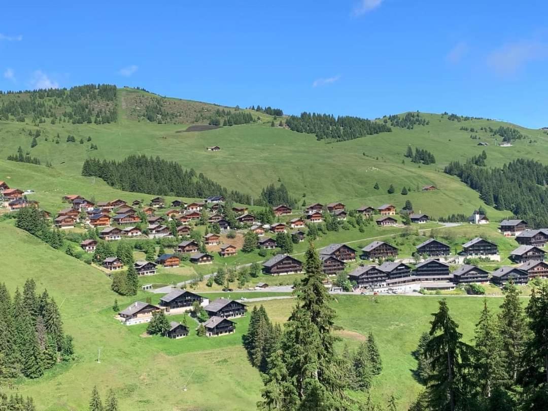 Alpage Immo Location Service Champoussin Esterno foto